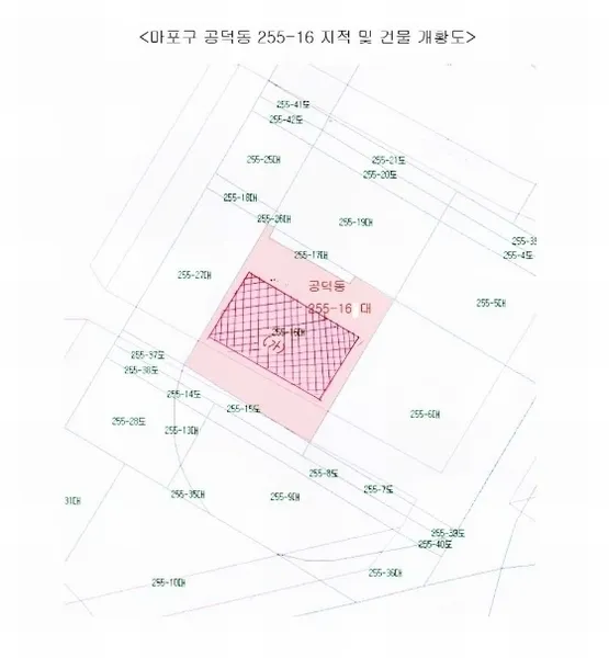 사진 15