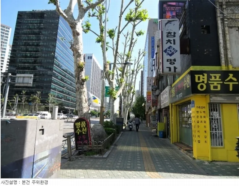 사진 5