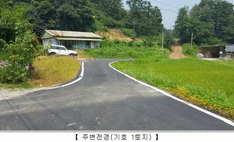 사진 2