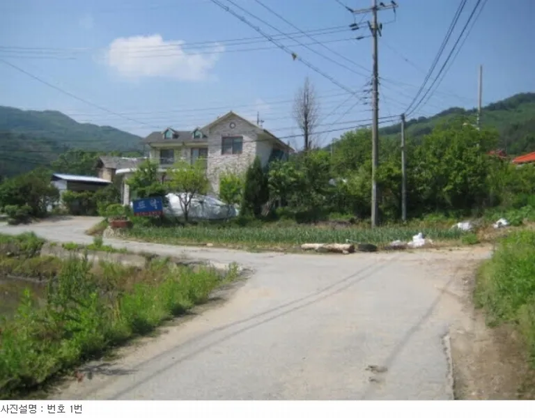 사진 5