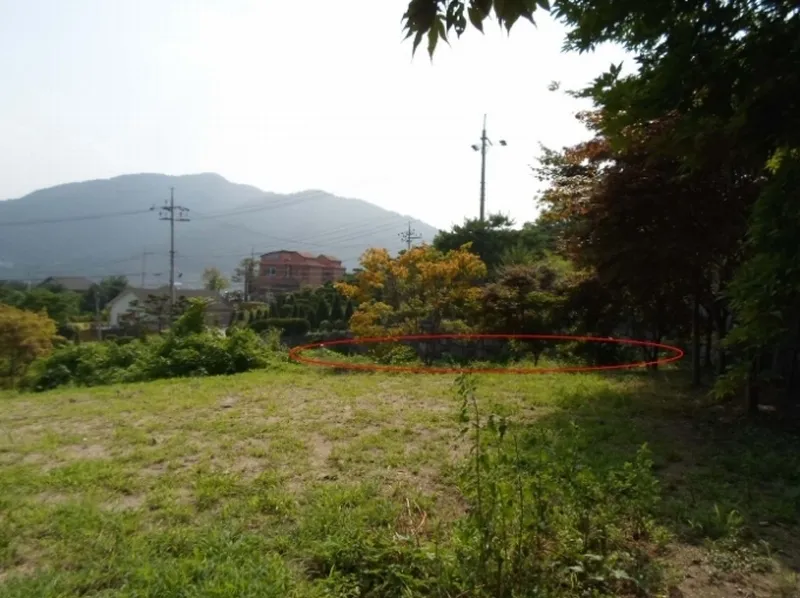 사진 4
