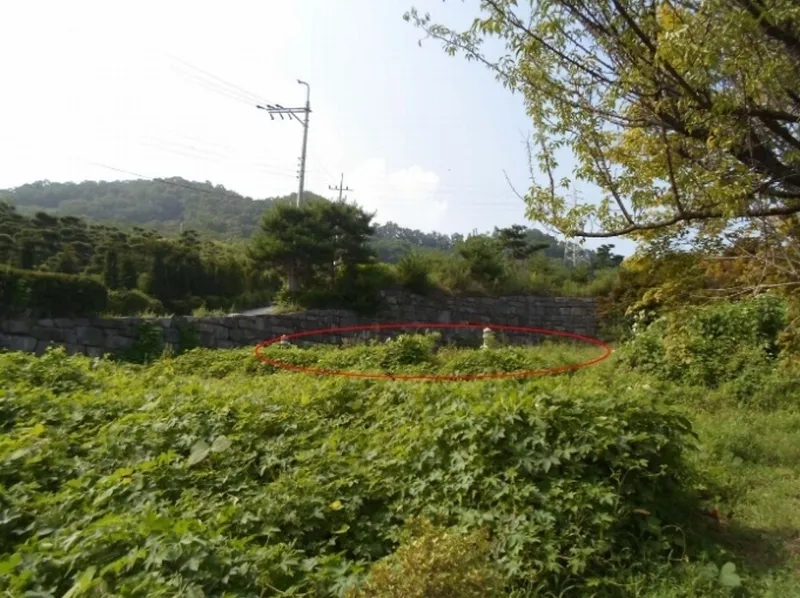 사진 5