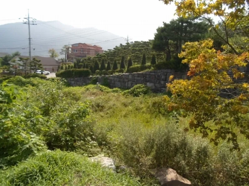 사진 7
