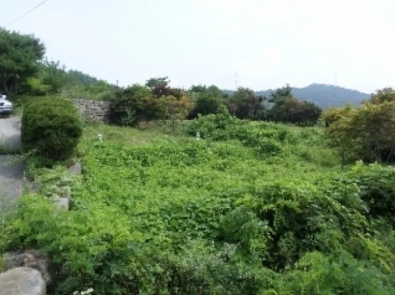 사진 8
