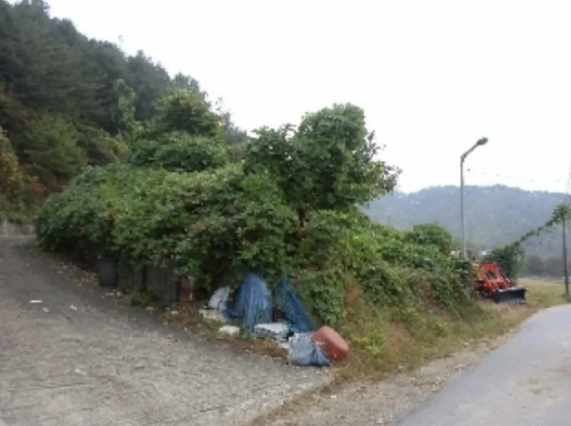 사진 8