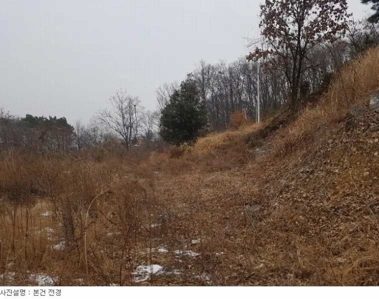 경기도 양평군 강하면 전수리 1016-23 외 2필지
