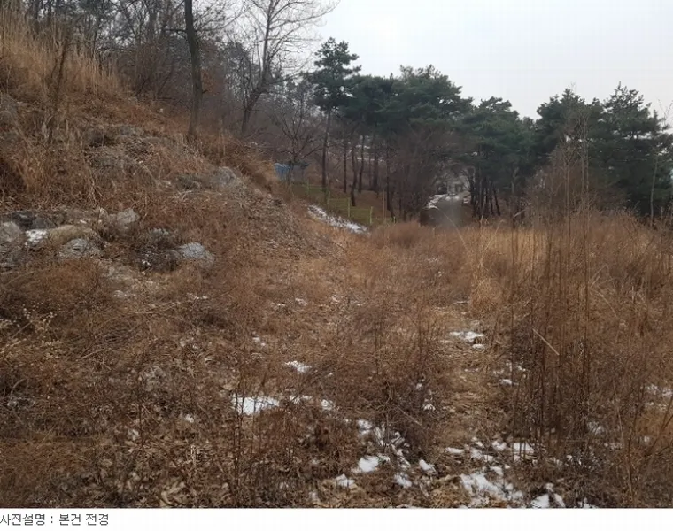 사진 4
