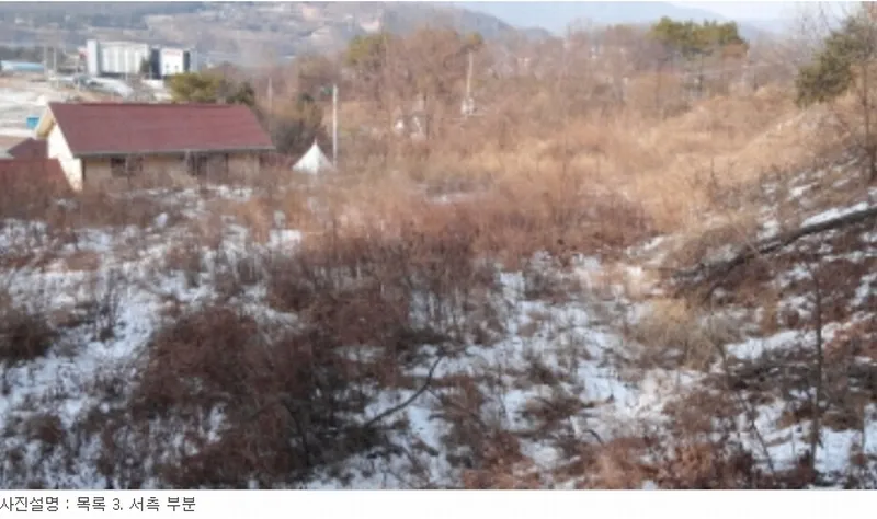 사진 9