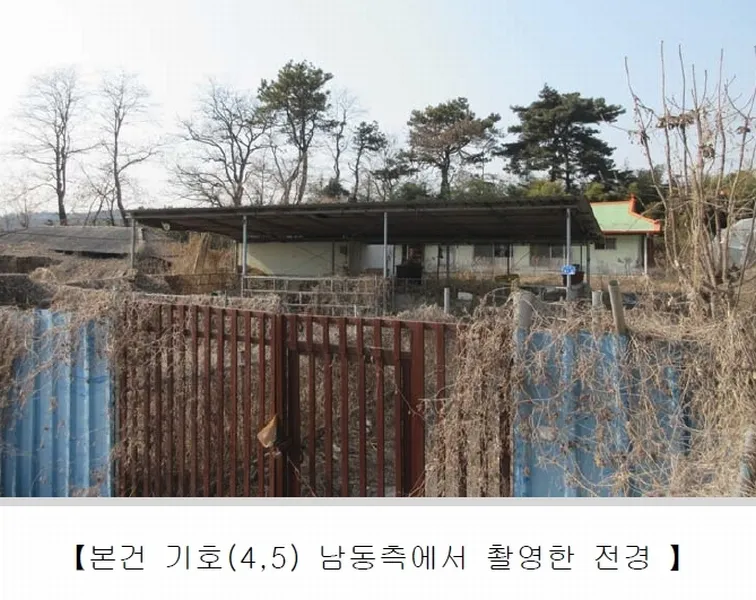 사진 2