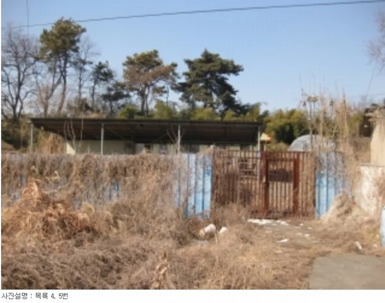 사진 4