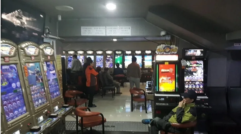 사진 5