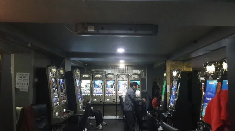 사진 6