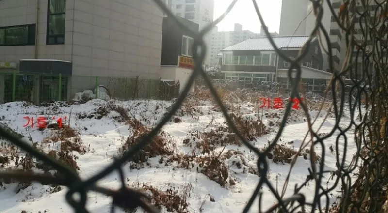 사진 2