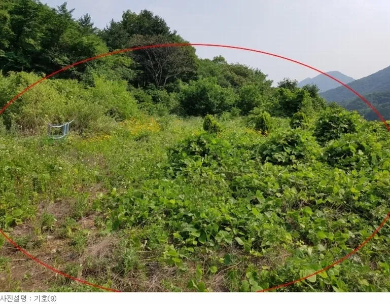 사진 11