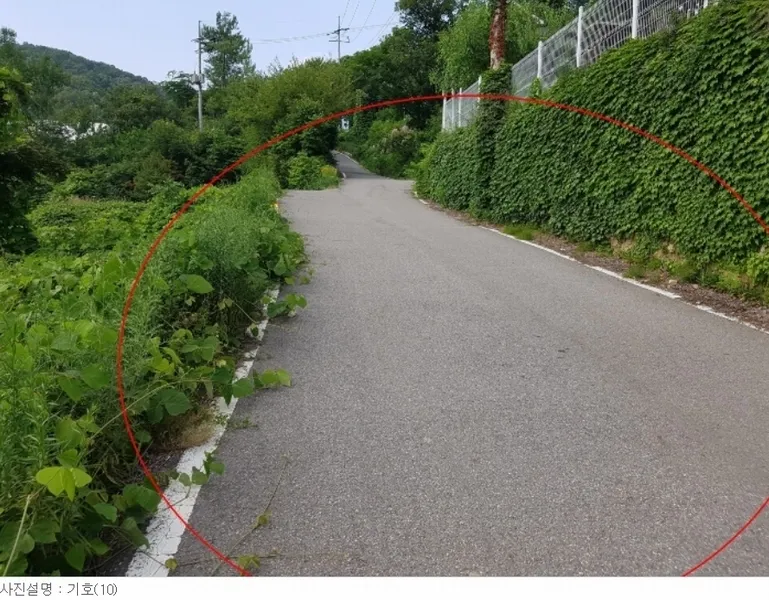 사진 12