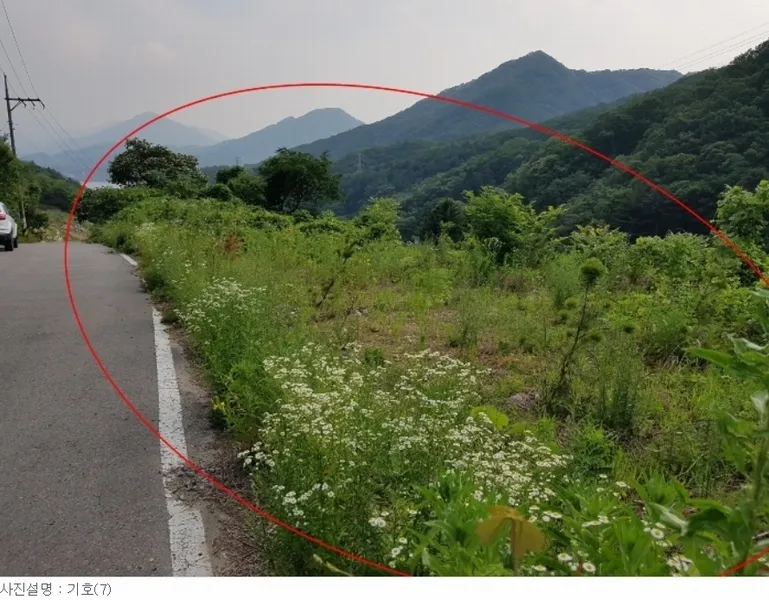 사진 8