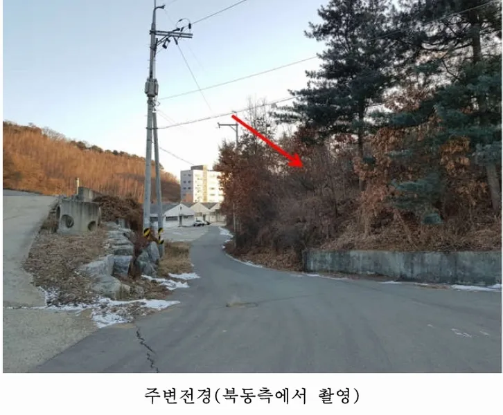 사진 11