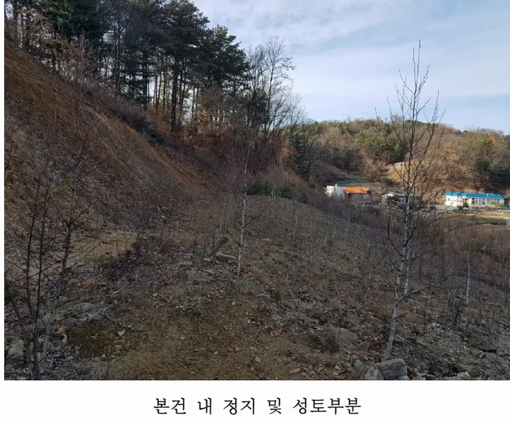 사진 2