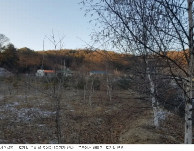 사진 22