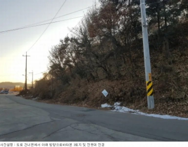 사진 24