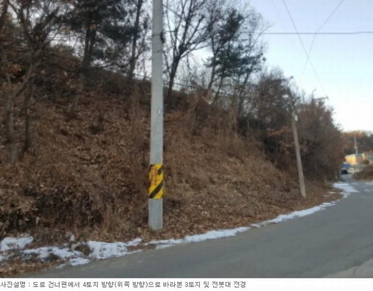 사진 25