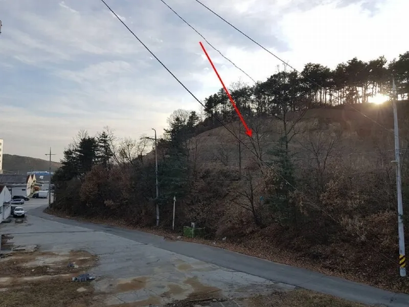 사진 5