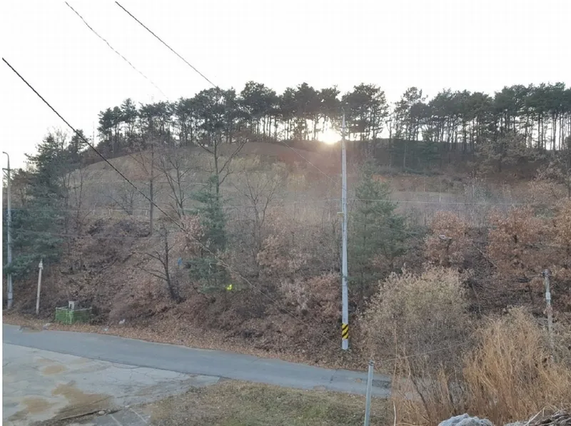 사진 6