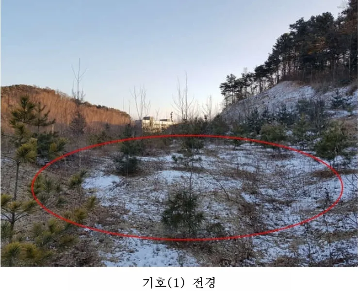 사진 8