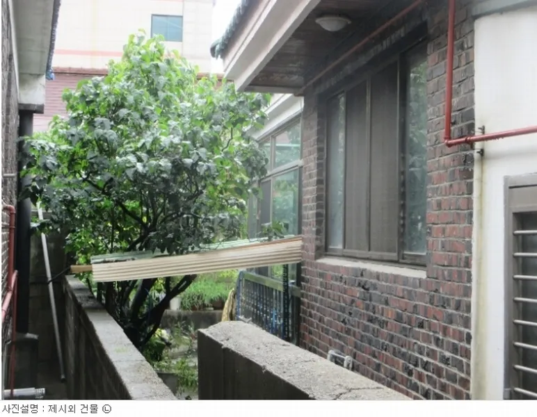 사진 9