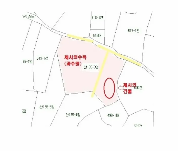 사진 11
