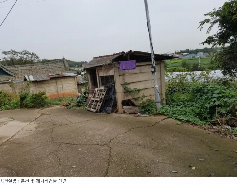 사진 3