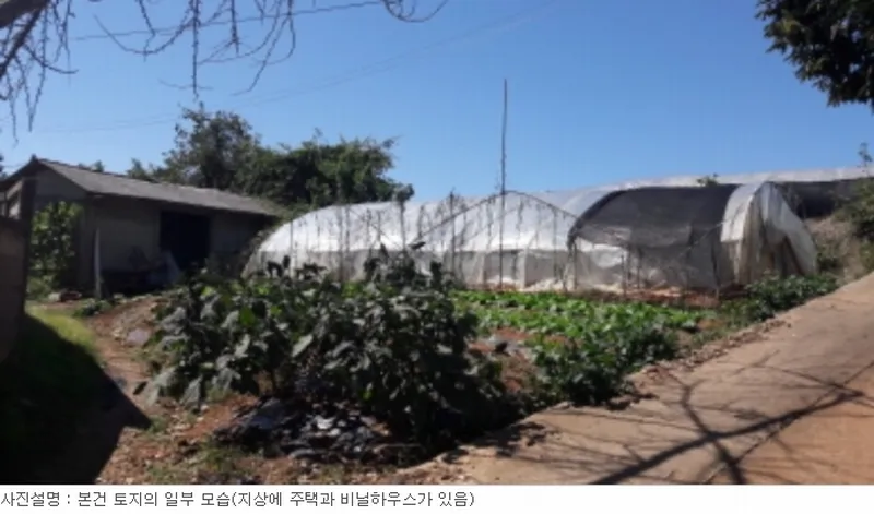 사진 6