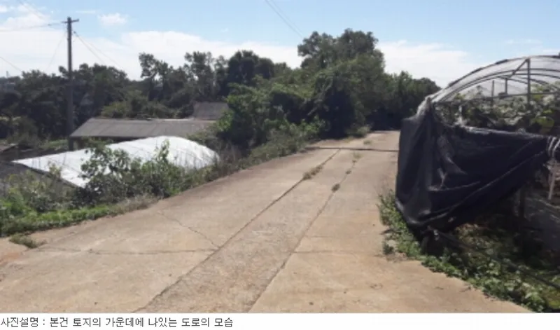 사진 7