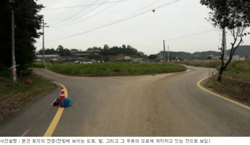사진 2