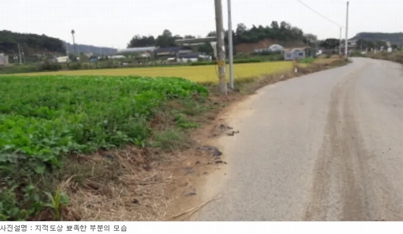 사진 6