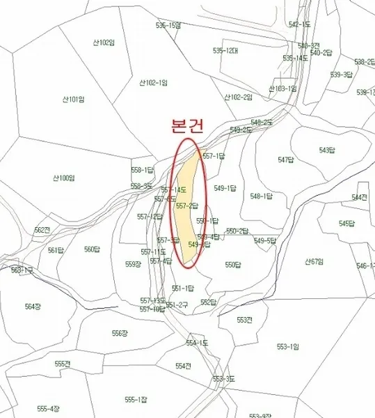 사진 5