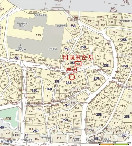 사진 10