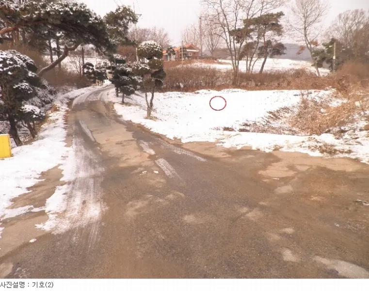사진 3