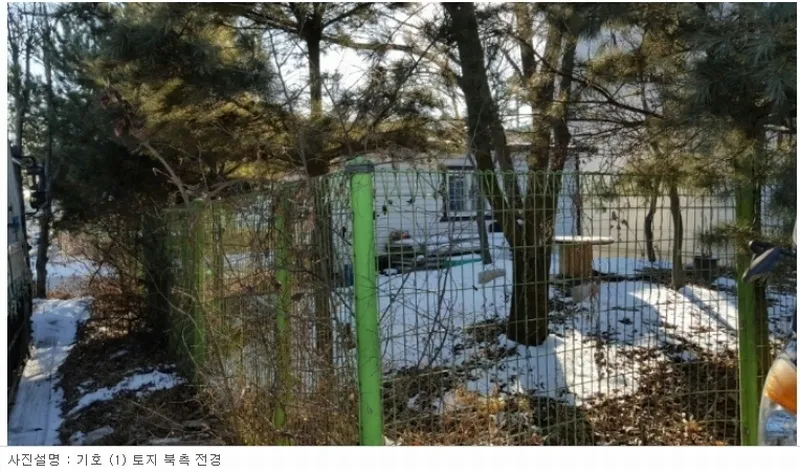 사진 2