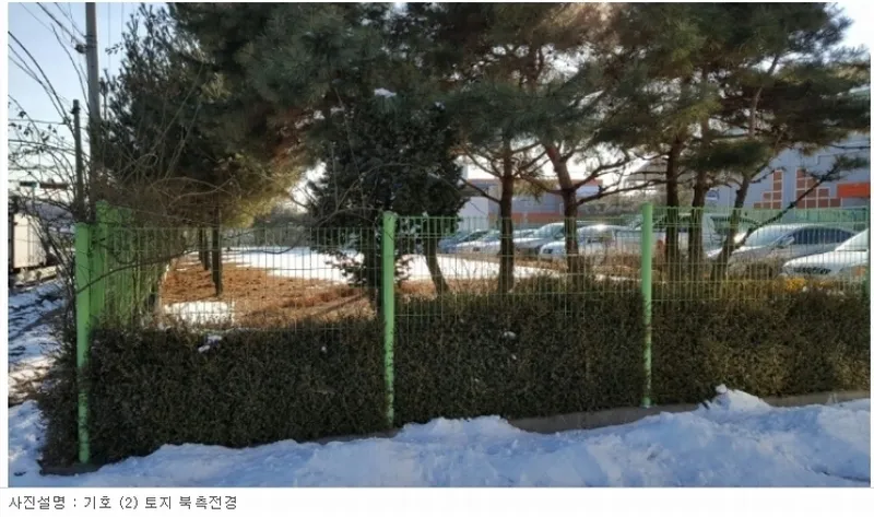 사진 3