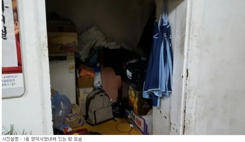 사진 6
