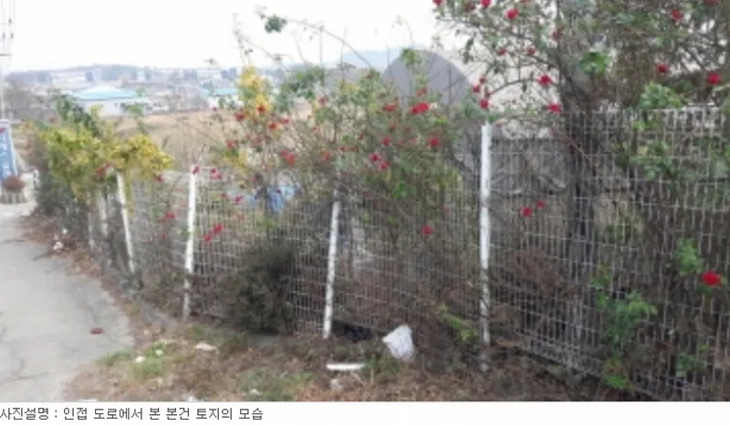 사진 5