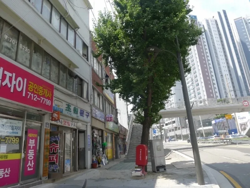 사진 5
