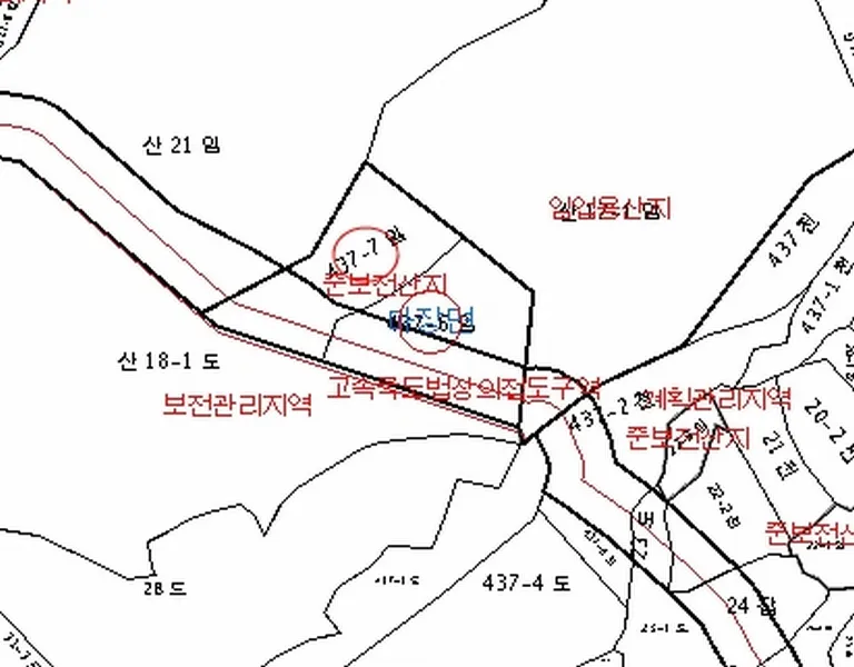 사진 10
