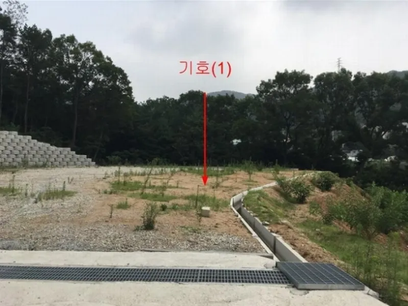 사진 2