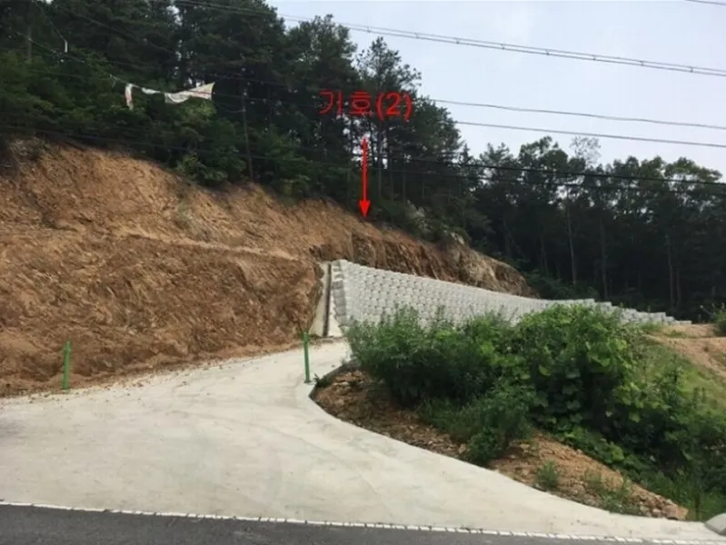 사진 3