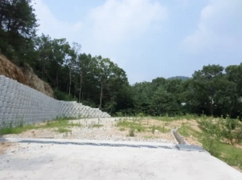 사진 4