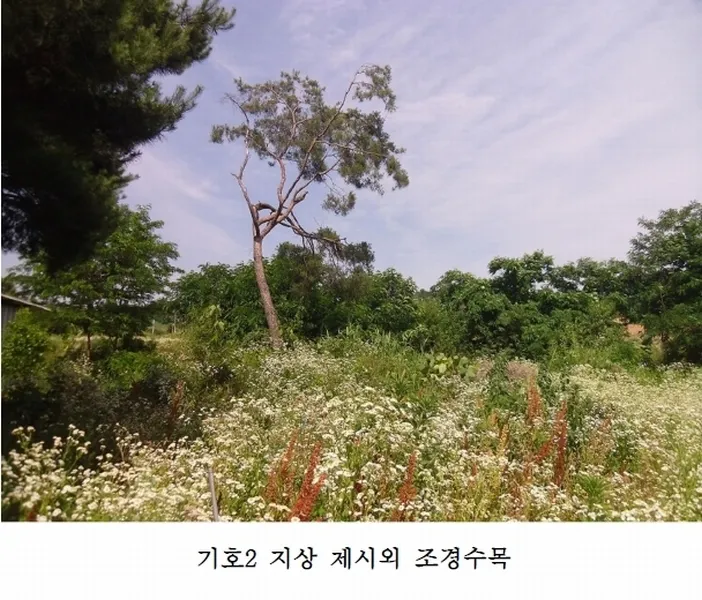 사진 10