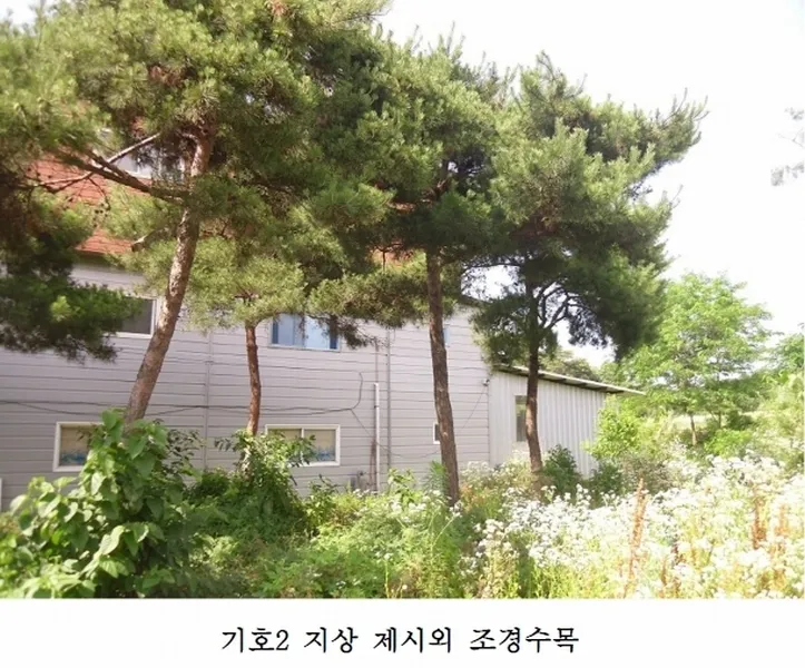 사진 11