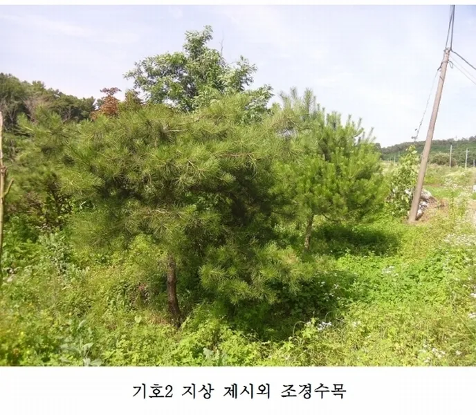 사진 12